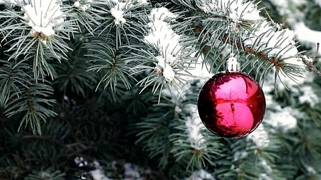 红色圣诞球挂在蓝色云杉枝在下雪的室外视频素材