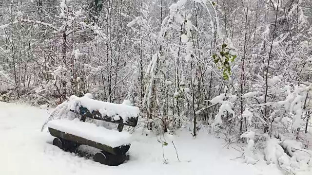 坐在长椅上的森林里下雪视频素材