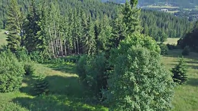 鼓舞人心的夏季山脉景观，塔特拉山脉视频素材