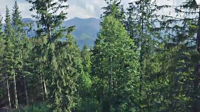 鼓舞人心的夏季山脉景观，塔特拉山脉视频素材