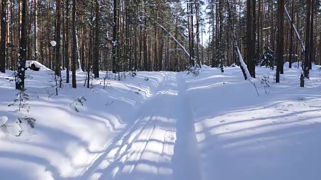 走在冬日雪地里的小路上视频素材