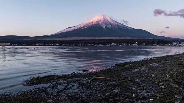 富士山上的山中湖成为一个早晨，一群天鹅在湖面上浮动在前景视频素材