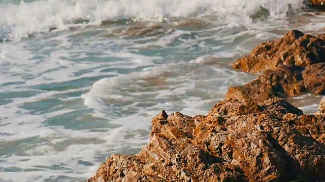 海浪拍打着多岩石的海岸。美丽的南海海浪近观视频素材