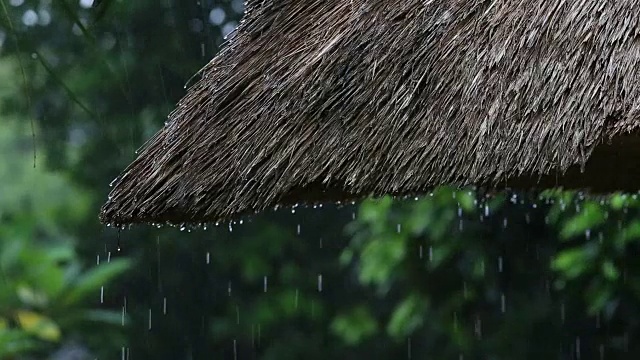 热带夏雨滴落在花园的稻草屋顶上。印尼巴厘岛视频素材