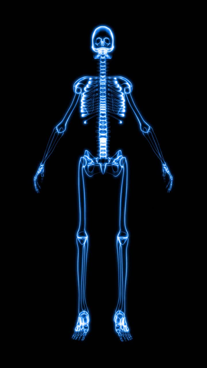 人体骨骼x光片(高清垂直)视频素材