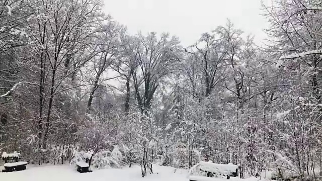 坐在长椅上的森林里下雪视频素材