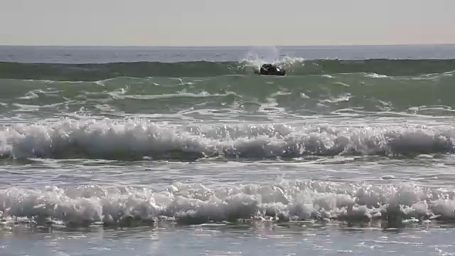 女冲浪者等待着在海洋中乘风破浪视频素材