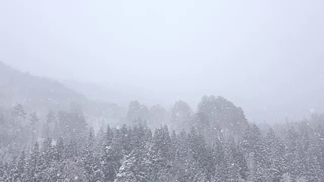 雪花飘落的慢动作视频素材