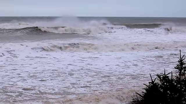 Lawrencetown海滩海浪视频下载