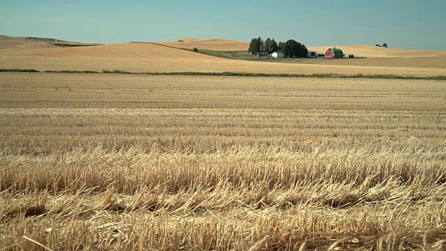 Wheatfield and Buildings, Palouse，华盛顿州，4K。UHD视频素材