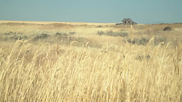 华盛顿州克雷斯顿Wheatfield和大楼，4K。UHD视频素材