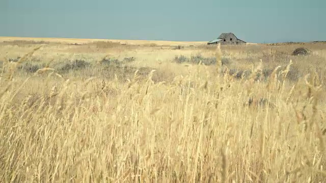 华盛顿州克雷斯顿Wheatfield和大楼，4K。UHD视频素材