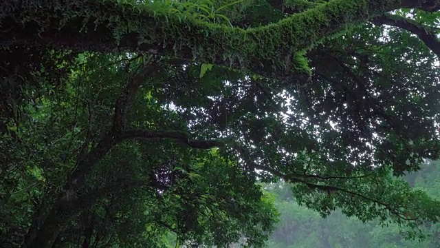 瀑布水视频素材