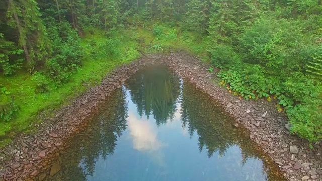 飞过山湖，映照出美丽的倒影视频素材