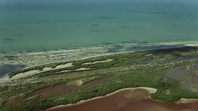 鸟瞰图的海岸在Celestun保护区视频素材