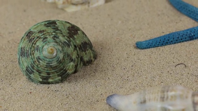 海贝壳和海星躺在沙滩上旋转。特写镜头视频素材