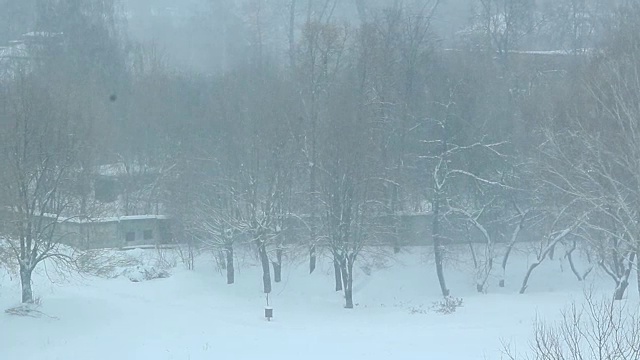 大量的降雪覆盖了树木。下雪的天气视频素材