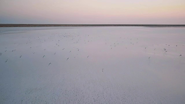 日落时分，一架无人机在乌克兰亚速海广阔的盐滩上飞过视频下载