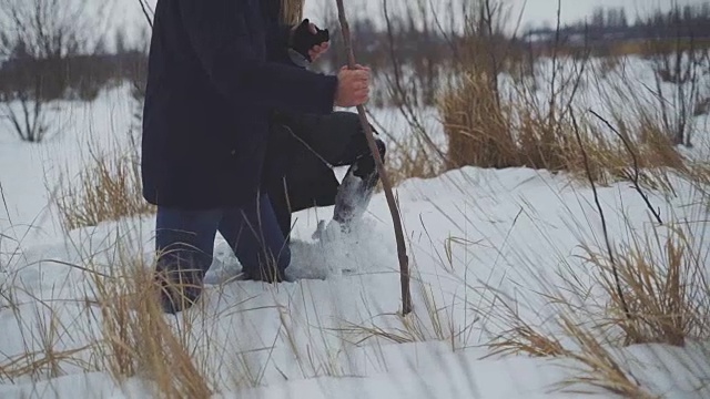 许多鸟类学家穿过厚厚的积雪和雪堆来到树上的鸟巢视频素材