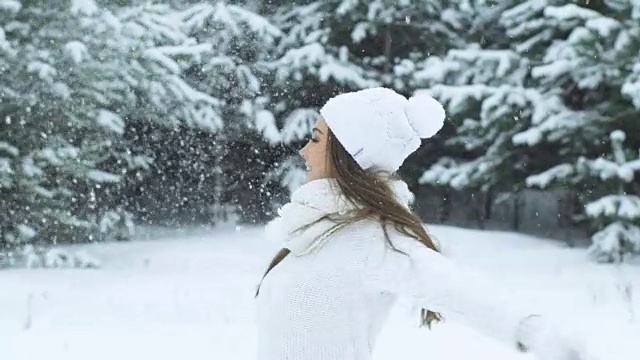 吹雪的冬天女人视频素材