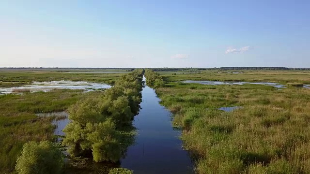 多瑙河三角洲湿地视频素材