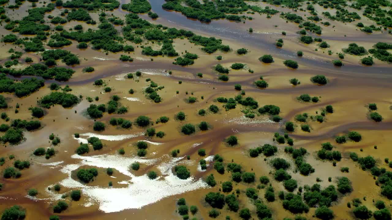 美丽的红树林湿地视频下载