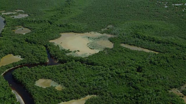 塞莱斯顿生物圈保护区湿地视频素材