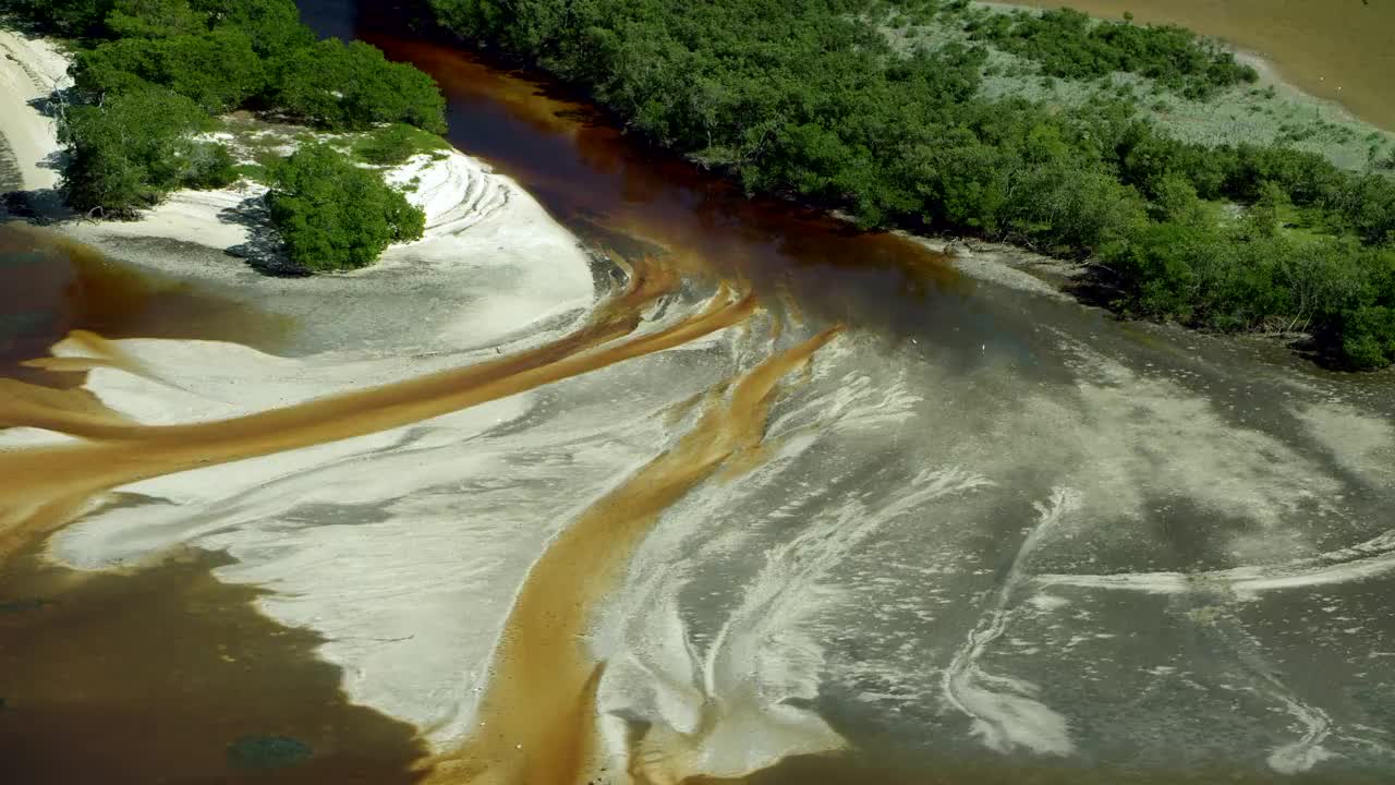 沿海地区的盐和单宁视频下载