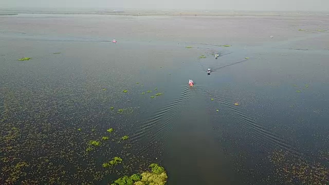 红莲花海，乌东他尼。视频素材