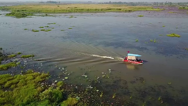 红莲花海，乌东他尼。视频素材