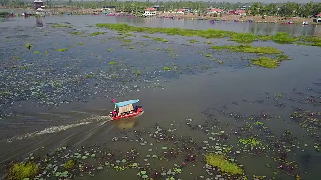 红莲花海，乌东他尼。视频素材