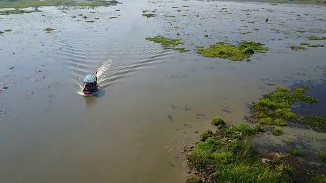 红莲花海，乌东他尼。视频素材