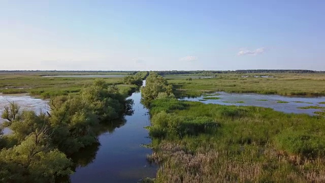 多瑙河三角洲湿地视频素材