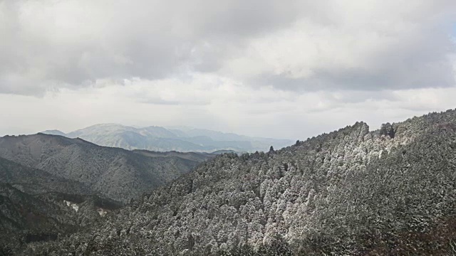 山上的冬树视频素材