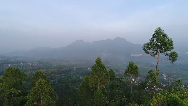 高角度俯瞰树木和山脉视频素材