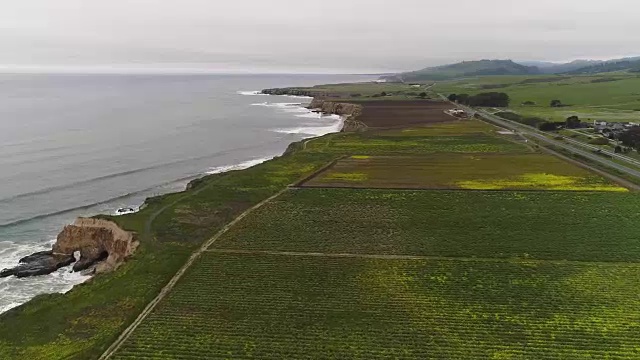 加利福尼亚达文波特海岸的农场视频素材