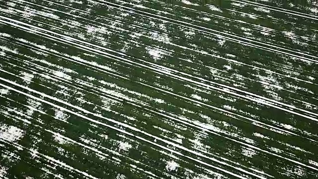 春季鸟瞰图中被雪覆盖的谷地。视频素材