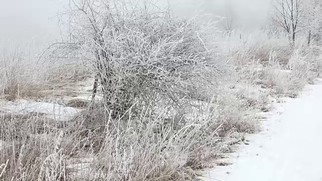 美丽的冬天的风景。风景优美的冬季景观。冬季多雾的景观。视频素材