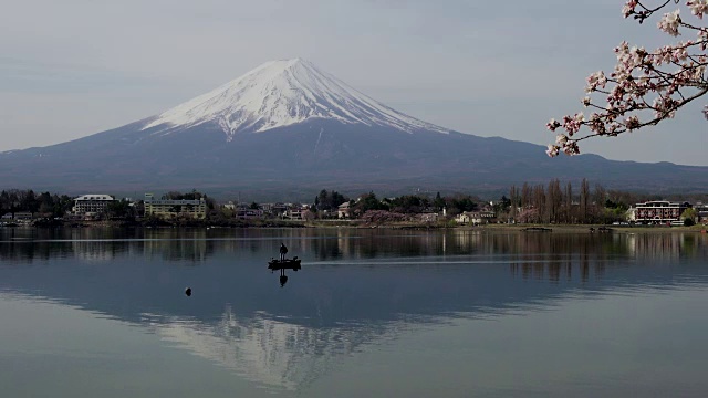 日本富士山上盛开的樱花视频素材