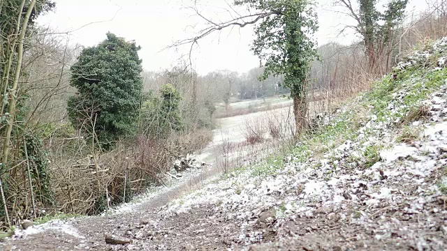 下雪时常见视频下载