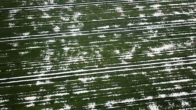 春季鸟瞰图中被雪覆盖的谷地。视频素材