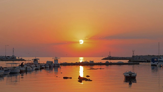 夕阳下的小港湾和飞翔的海鸥视频素材