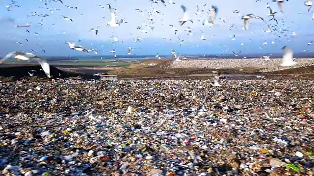 城市垃圾场。推土机沿着垃圾填埋场移动，铲平垃圾视频素材