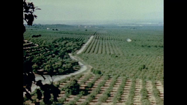 1947年，驾车穿过积雪覆盖的山脉和沙漠高速公路前往牧场、农田和柑橘园、家庭住宅和花园视频素材