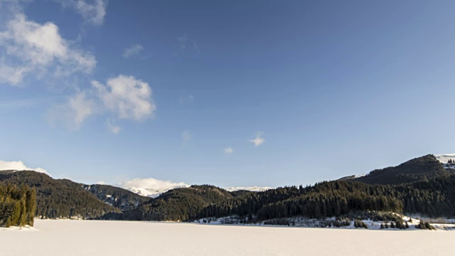 美丽的冬季景观和白雪覆盖的树木视频素材