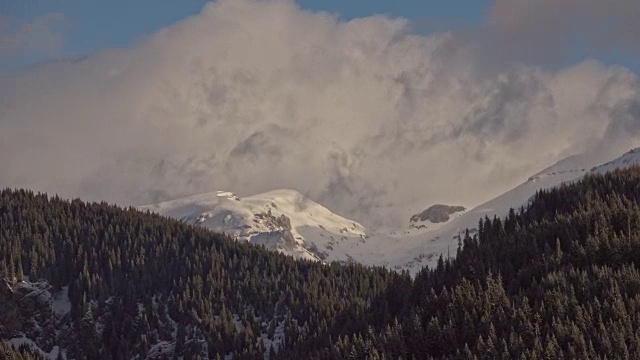 美丽的冬季景观和白雪覆盖的树木视频素材