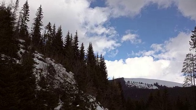 美丽的冬季景观和白雪覆盖的树木视频素材