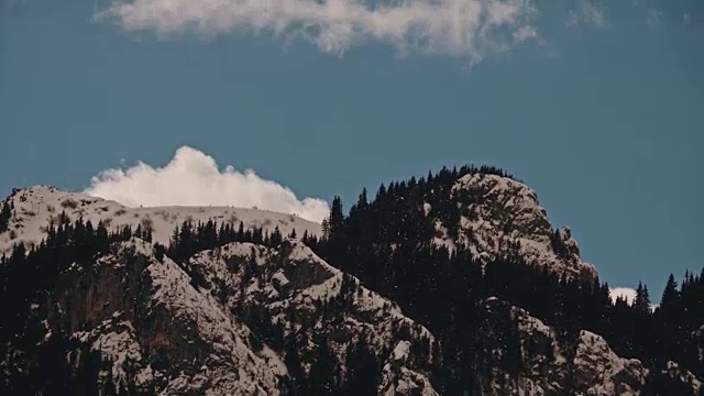 美丽的冬季景观和白雪覆盖的树木视频素材