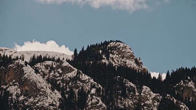 美丽的冬季景观和白雪覆盖的树木视频素材