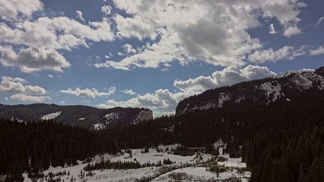 美丽的冬季景观和白雪覆盖的树木视频素材